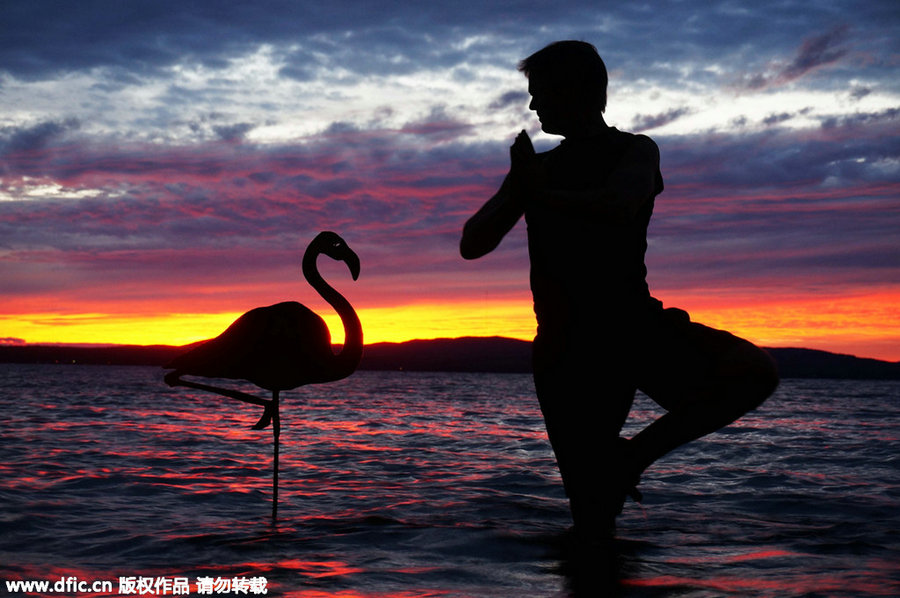 Captivating background captures man and his cardboard friends