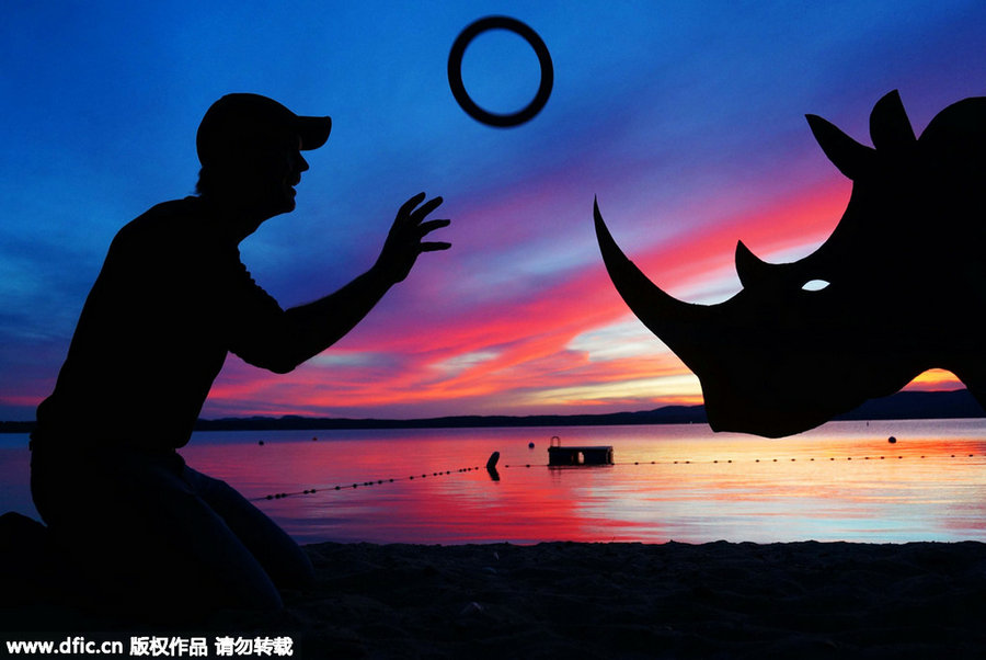 Captivating background captures man and his cardboard friends