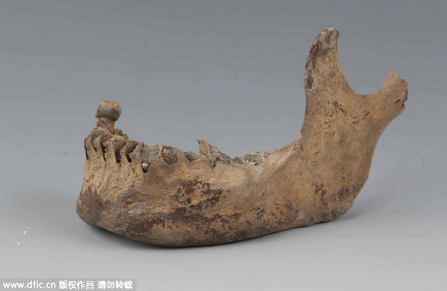 'Smiles from Ancient Times' exhibition held in Zhejiang