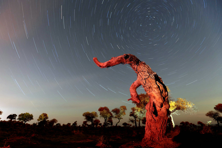 Beautiful moments of 2015 in China's great outdoors