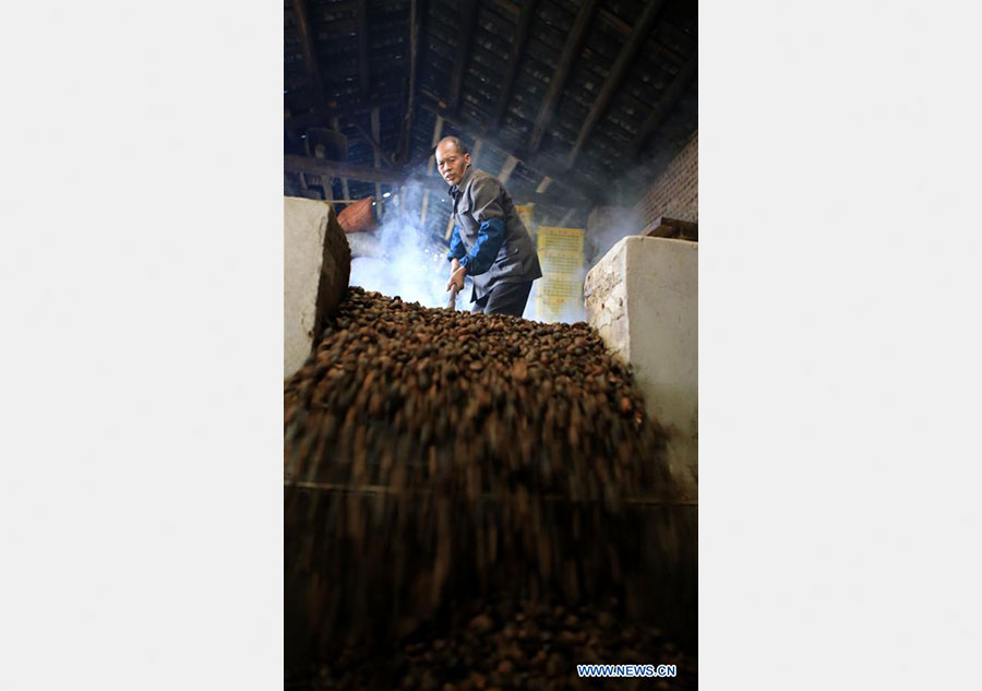 Traditional way of making tea oil preserved in S China