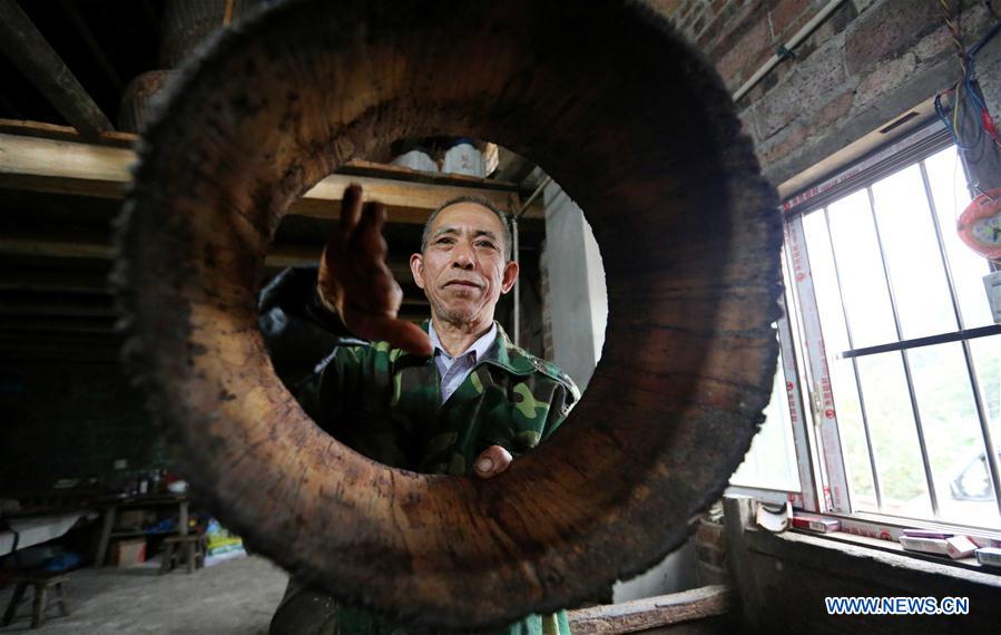 Traditional way of making tea oil preserved in S China