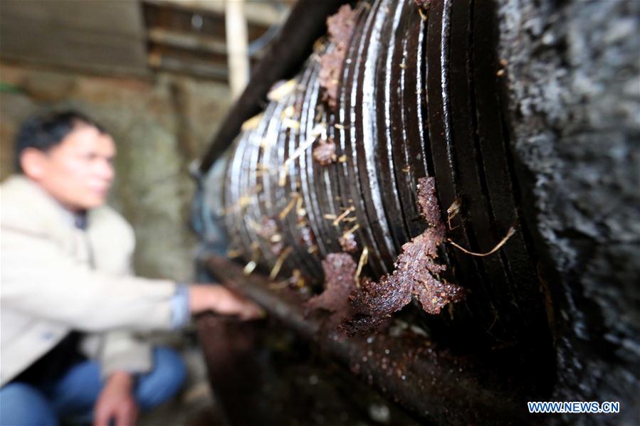 Traditional way of making tea oil preserved in S China