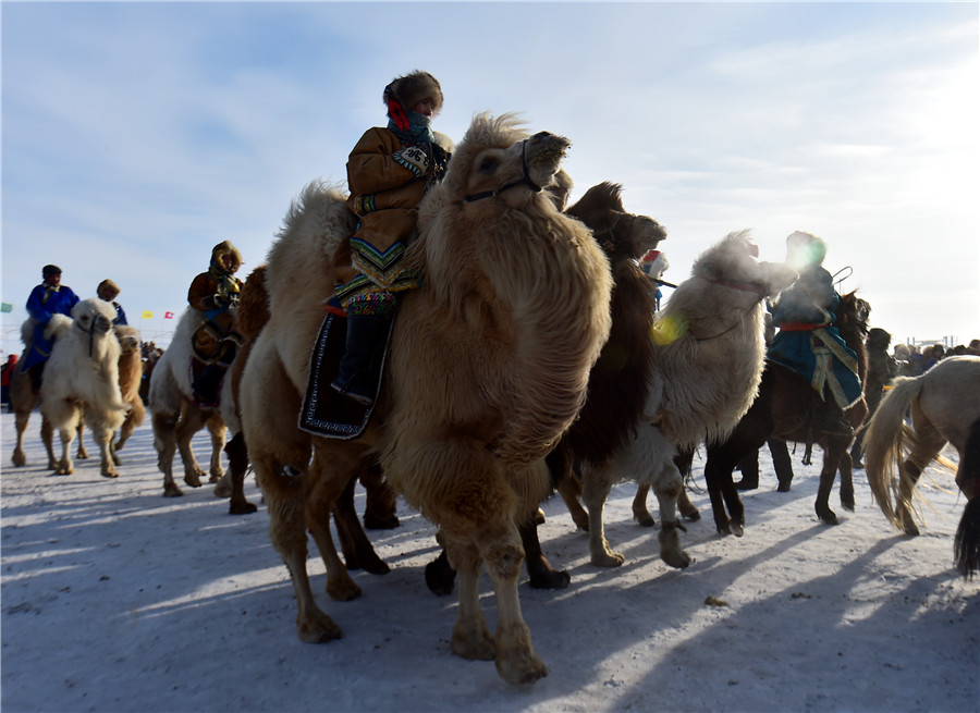 Nadam Festival begins in Inner Mongolia