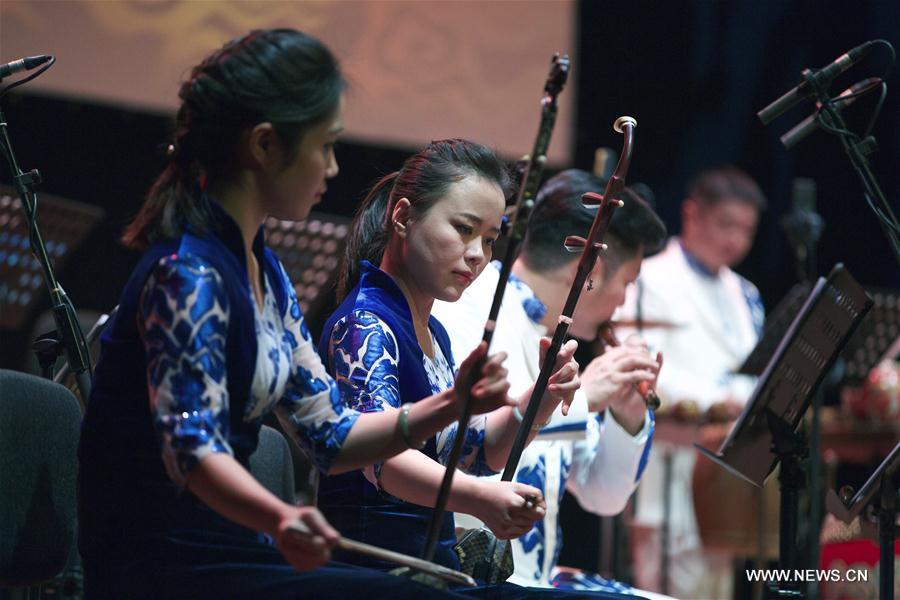 Concert for Chinese New Year of Monkey held in Rome