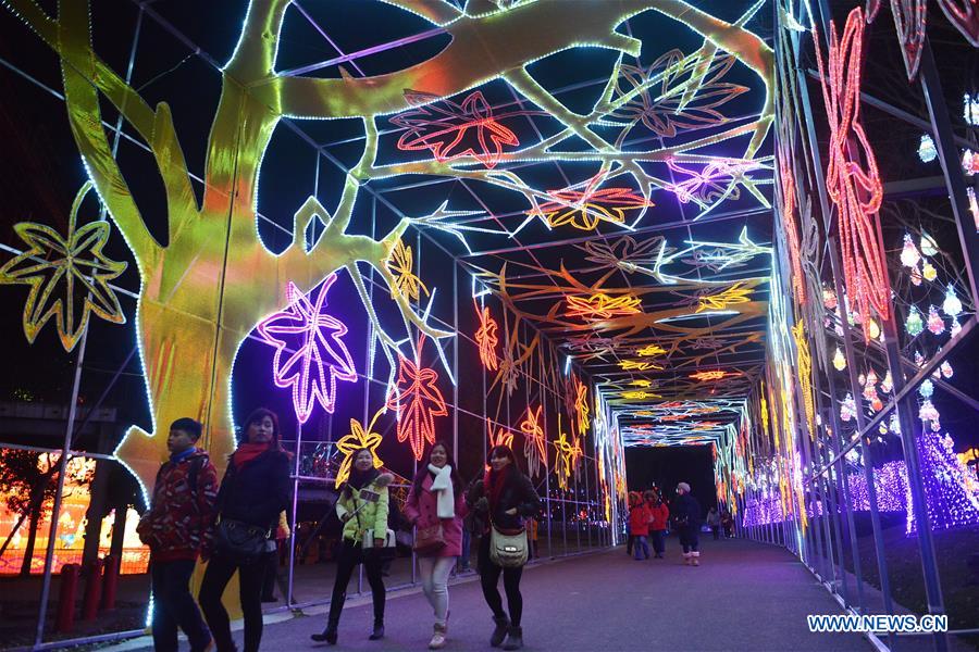 Lantern carnival held at Shanghai Expo Park, E China