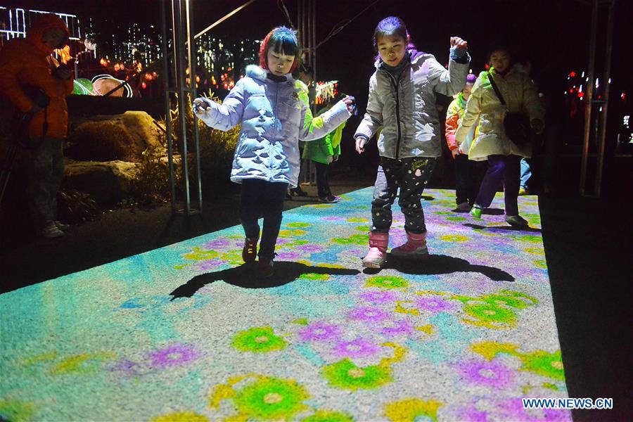 Lantern carnival held at Shanghai Expo Park, E China