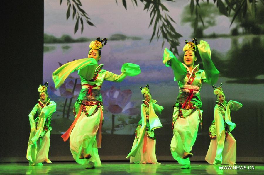 Chinese artists give performance in Houston