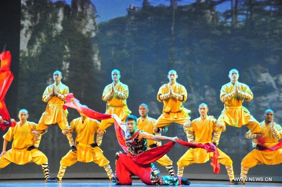 Chinese artists give performance in Houston