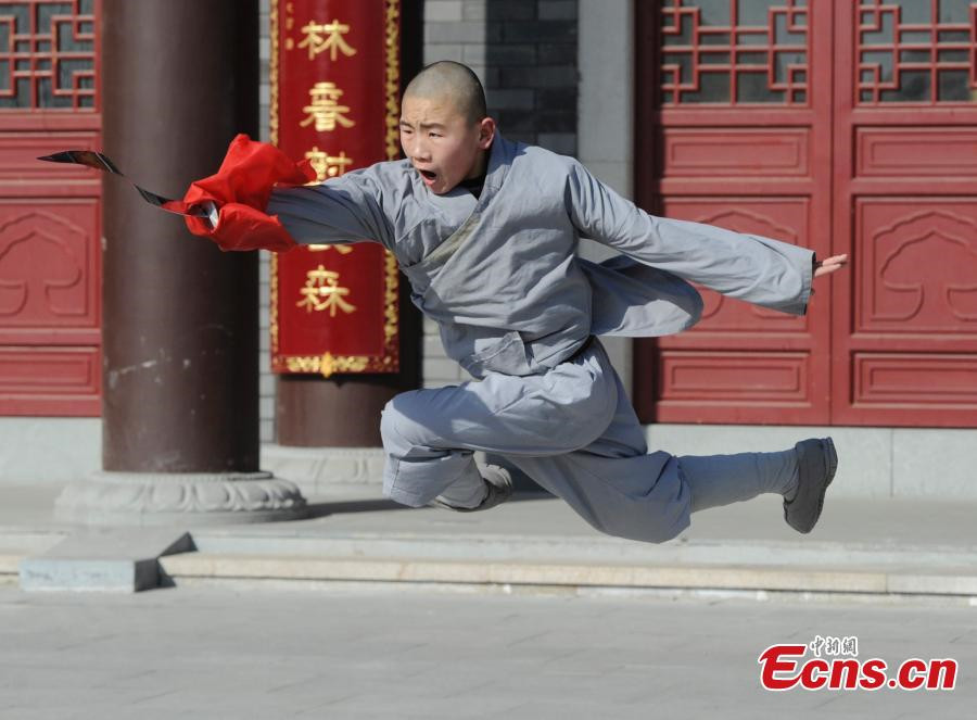 Young monks learn kungfu in NE China temple