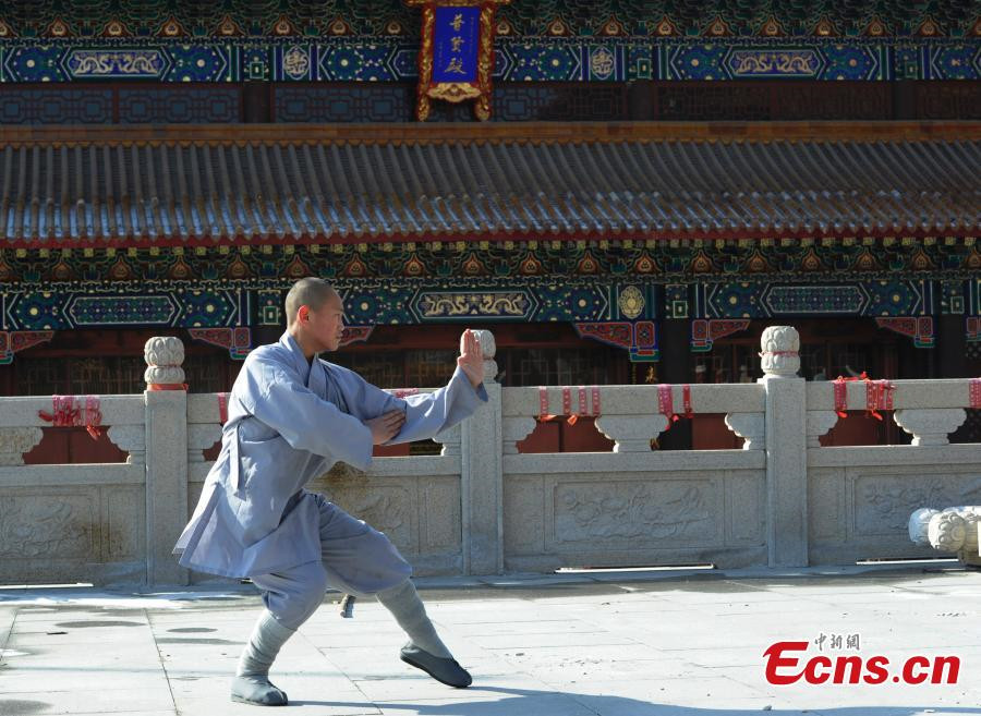 Young monks learn kungfu in NE China temple