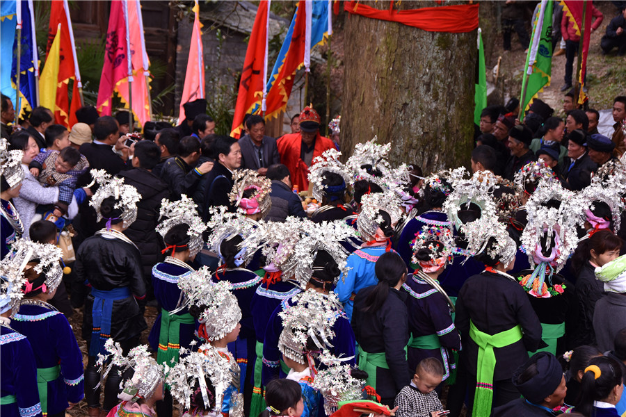 Guizhou villagers worship trees to protect environment