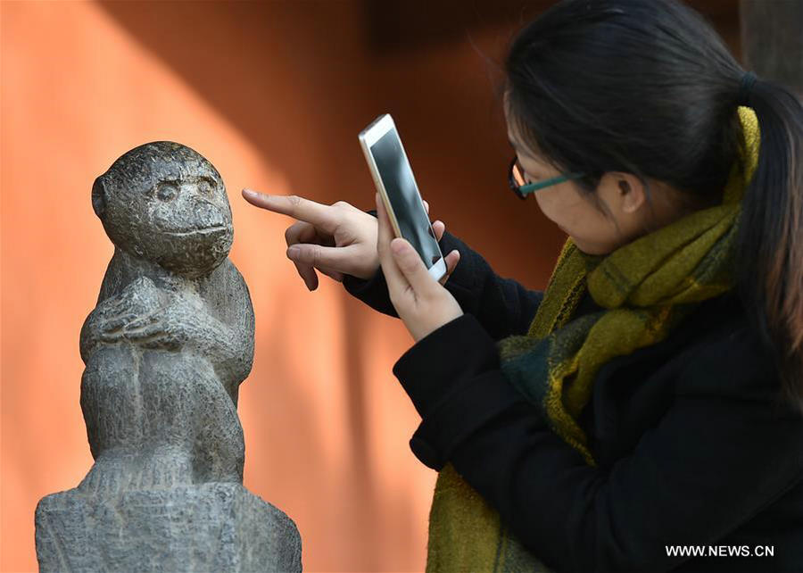 Stone monkey carvings attract crowds