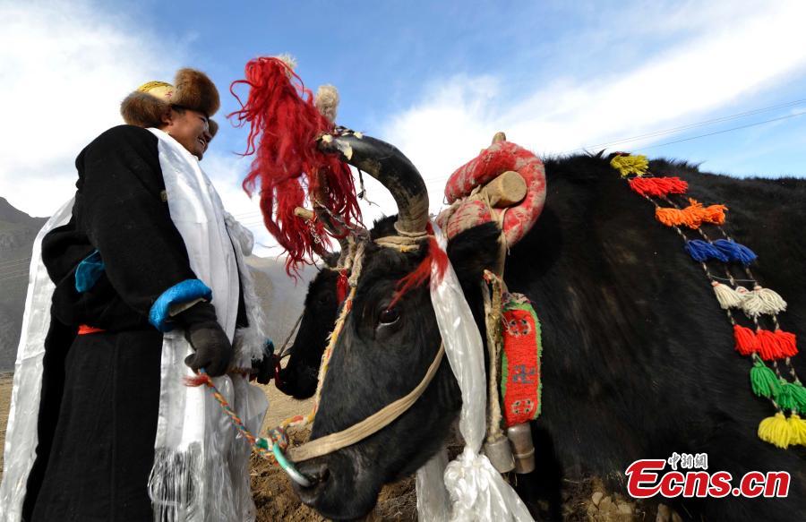 Tibet holds spring farming ceremony