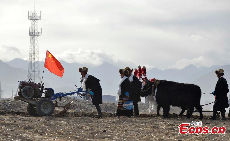 Tibet holds spring farming ceremony