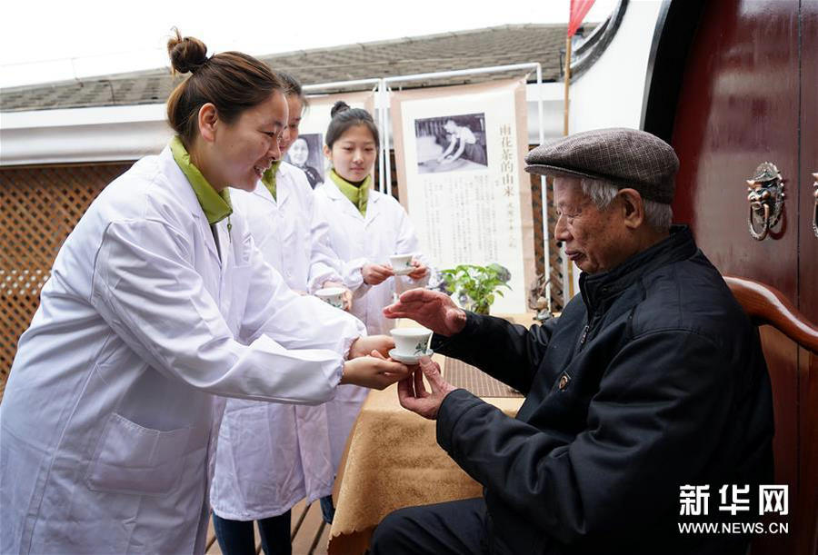 Nanjing's Yuhua spring tea harvest begins