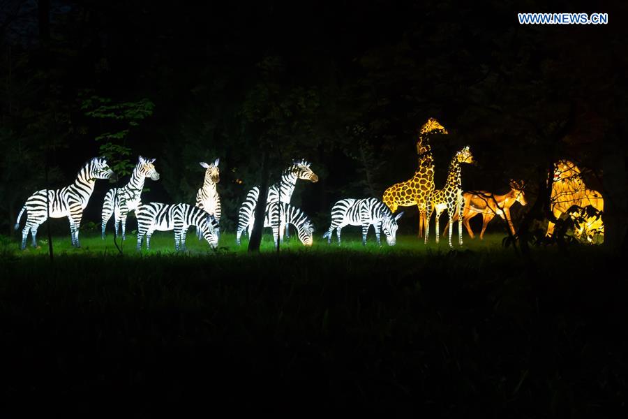 Budapest zoo hosts Chinese lantern festival