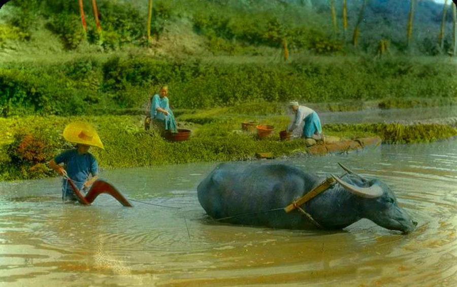 Old photos record the change of Sichuan over a century