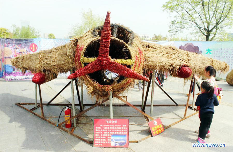 Scarecrow Cultural Tourism Festival held in Suzhou