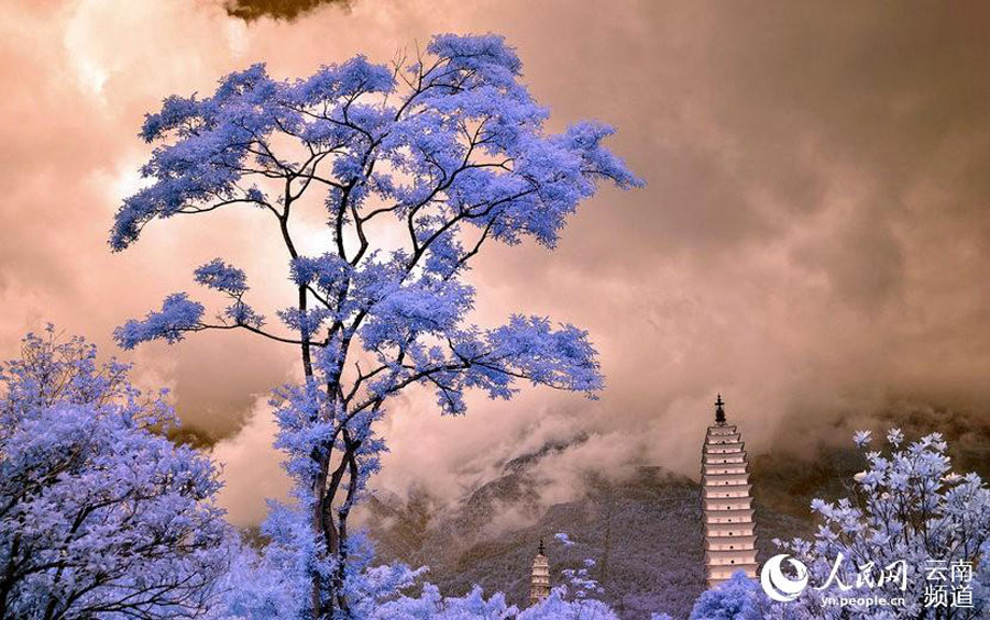 Iconic pagodas turn into a dreamland in infrared photos