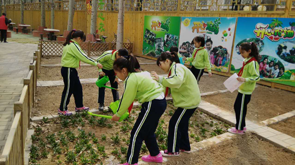 Vegetable gardens: Now sprouting in Beijing schools