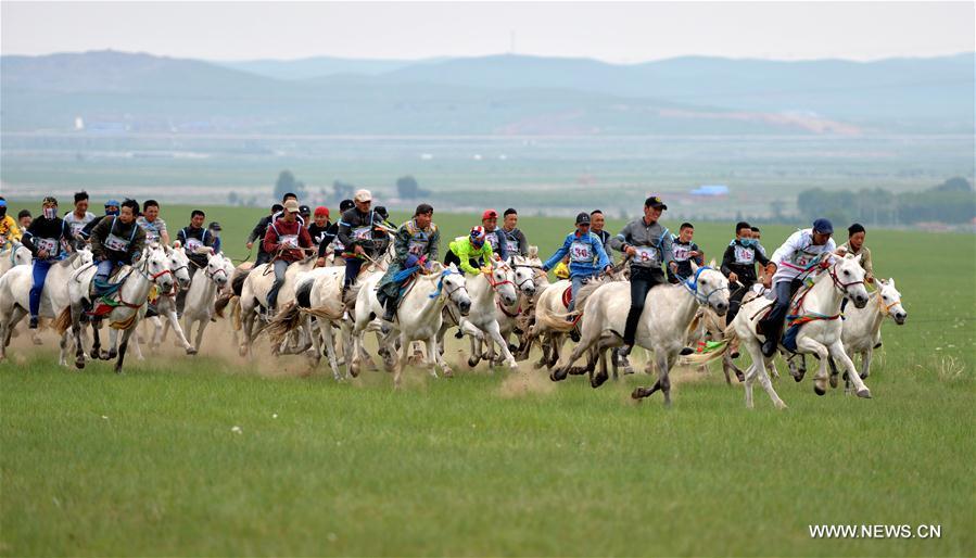 Local herdsmen celebrate traditional festival in Inner Mongolia