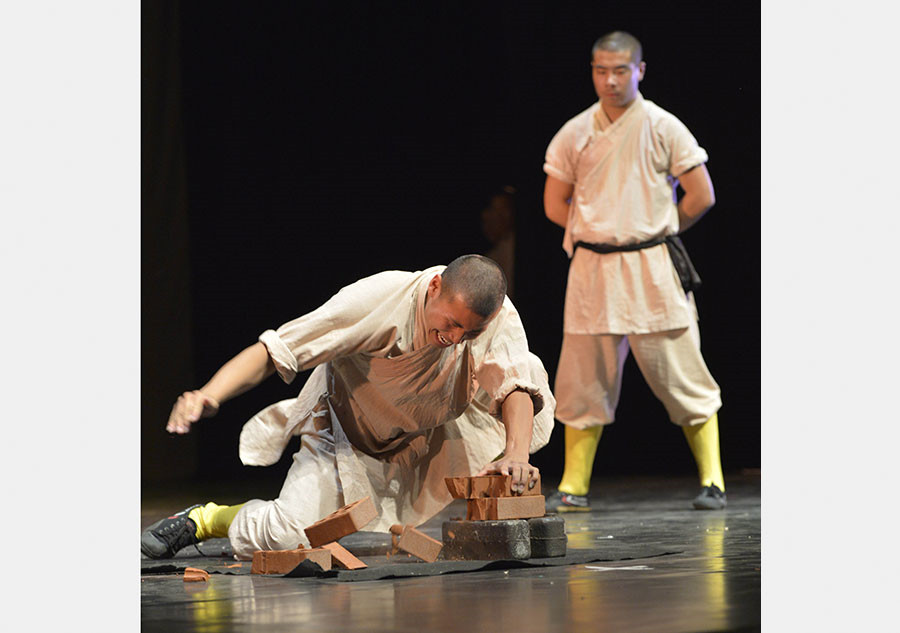 Kung Fu show wows Albanians