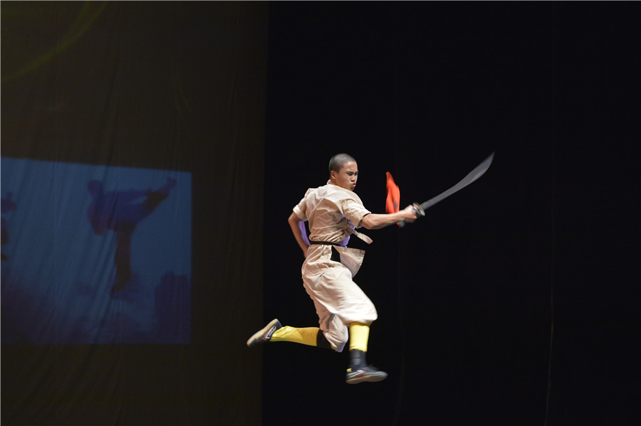 Kung Fu show wows Albanians