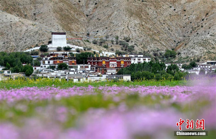 Ancient Tibetan temple celebrates 700th anniversary