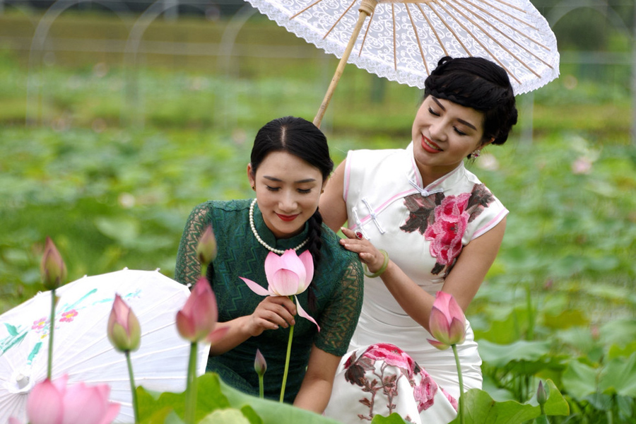 Females in qipao warm up the summer