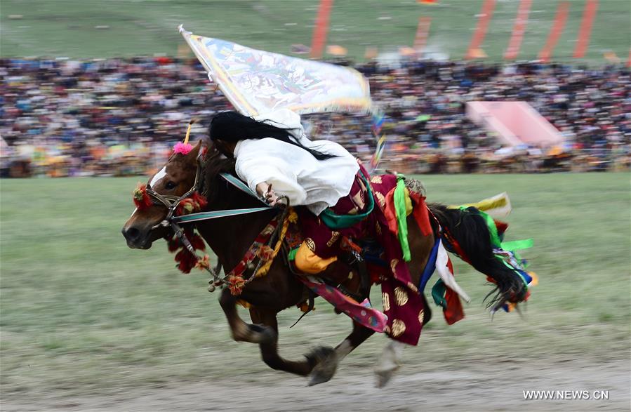 Traditional horse racing festival opens in Qinghai