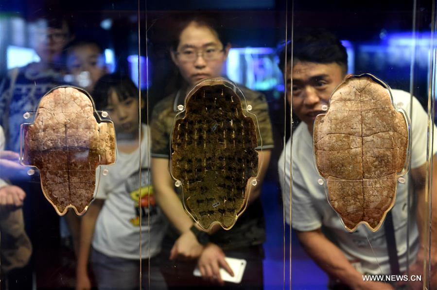 Inside Ruins of Yin: One of China's oldest archaeological sites