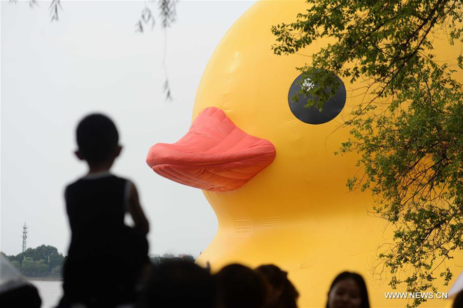 18-meter-high rubber duck seen in NE China