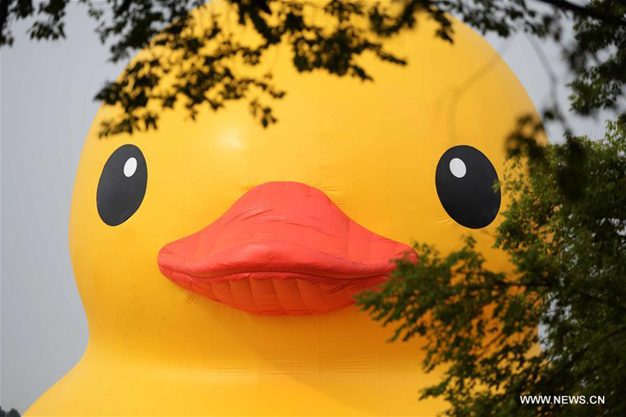 18-meter-high rubber duck seen in NE China