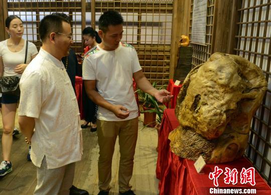 125 root sculptures shine with natural beauty in Fujian