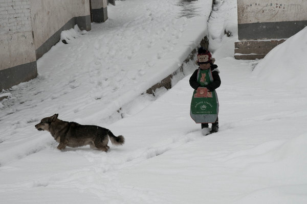 'Homeland Old Days': People and their lives in rural China