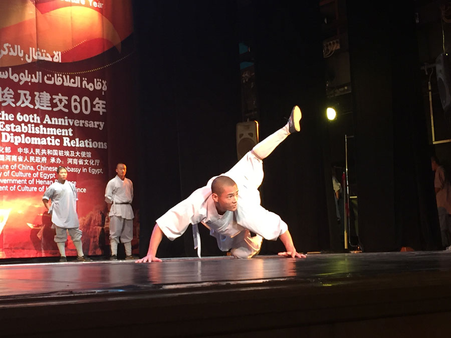 Just can't stop Egyptians' enthusiasm for Kungfu