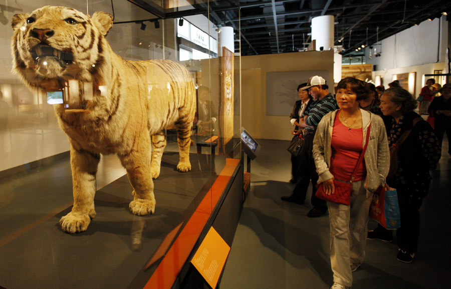 'Extinction: Not the End of the World' highlights endangered animals