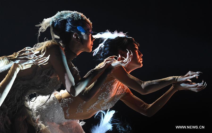 Yang Liping performs dance drama 'Peacock of Winter' in Kunming