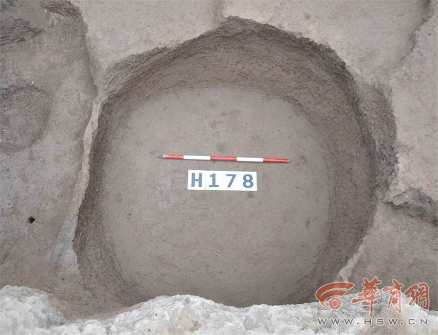 Crocodile bone plates found in Haojing ruins