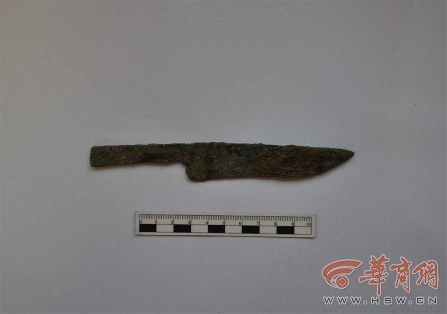 Crocodile bone plates found in Haojing ruins