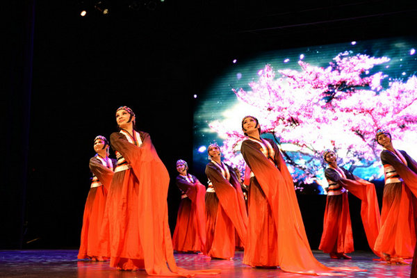 Chinese opera part of Toronto Lunar New Year celebrations