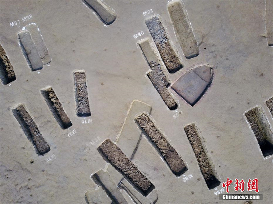 Large cluster of boat-shaped coffin tombs unearthed in Chengdu