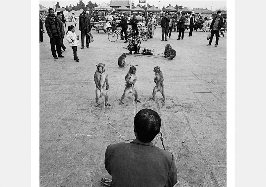 Photography captures China's Central Plain culture