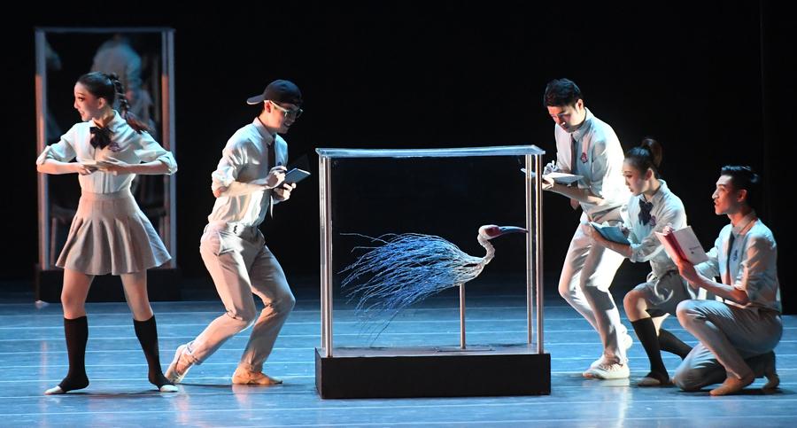 Dance drama 'Crested Ibises' staged in Nanning