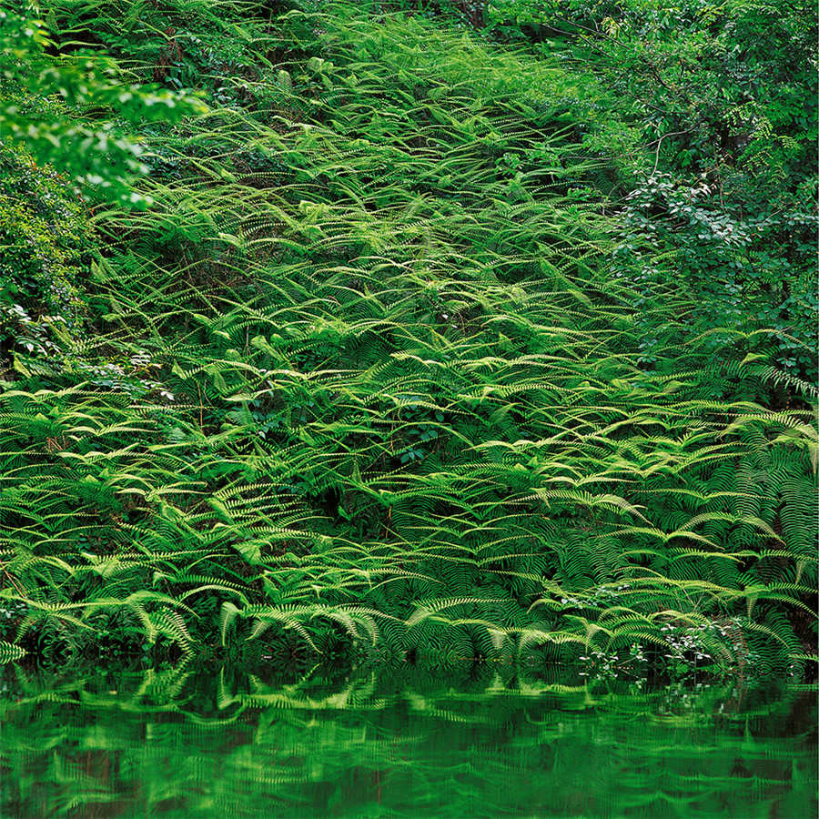 China's breathtaking landscapes captured on film