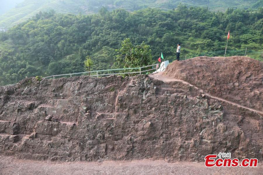 'Dinosaur fossil wall' found in southwestern village