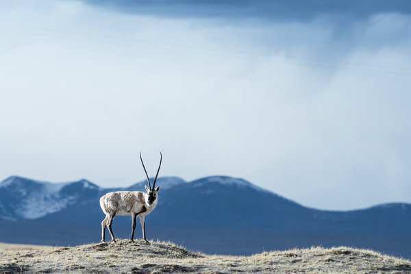 China brings new light to world heritage protection