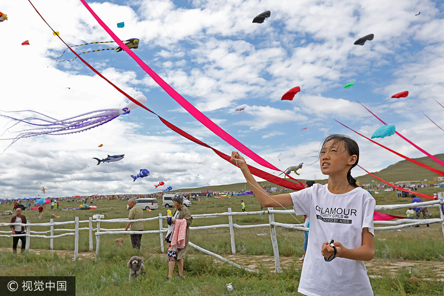 Int'l kite festival kicks off in Hebei