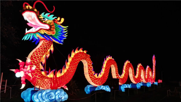 Chinese giant lanterns illuminate Edinburgh Zoo